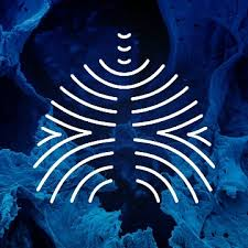 Deutsche Gesellschaft für Pneumologie